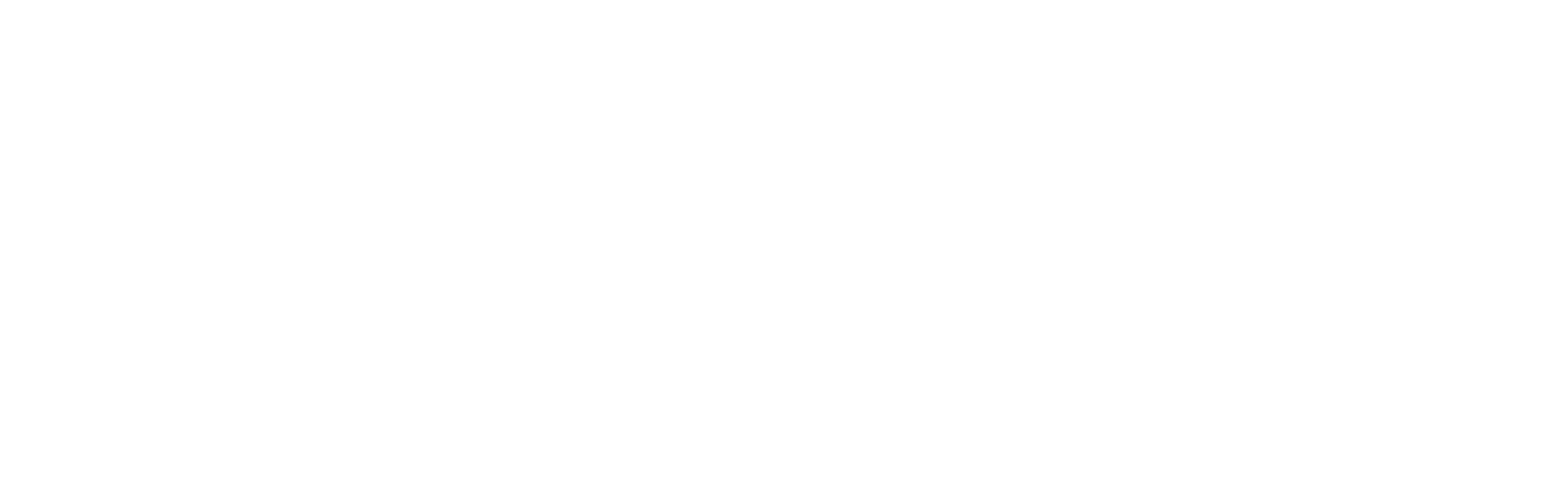 logo FTS - official ITFVHA sponsor